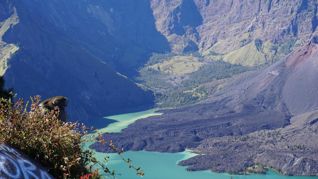 Rinjani Trails Hotel 森纳儒 外观 照片